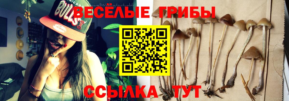 Псилоцибиновые грибы прущие грибы  Вход с VPN  Кимовск 